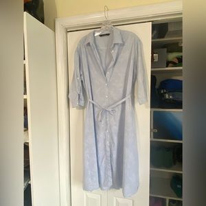 Zara blue and white floral striped button up dress